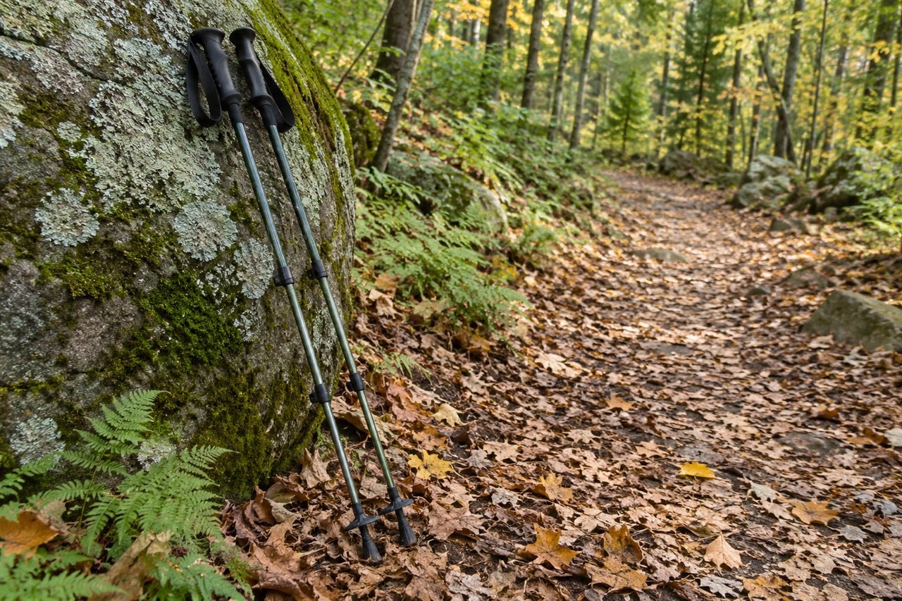 Plain hiking poles leaning against a lichen-covered rock